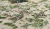 imgp0045_small.jpg