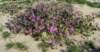 imgp0046_small.jpg