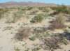imgp0047_small.jpg