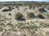 imgp0048_small.jpg