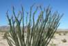 imgp0050_small.jpg