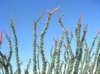 imgp0051_small.jpg
