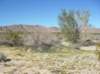imgp0055_small.jpg