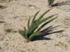 imgp0059_small.jpg