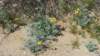imgp0063_small.jpg