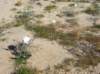 imgp0065_small.jpg