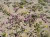 imgp0069_small.jpg
