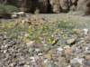imgp0085_small.jpg