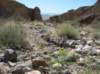 imgp0086_small.jpg