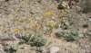 imgp0088_small.jpg