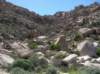 imgp0093_small.jpg