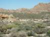 imgp0095_small.jpg