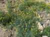 imgp0097_small.jpg