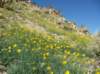imgp0098_small.jpg
