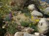 imgp0103_small.jpg