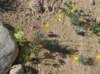 imgp0106_small.jpg