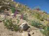 imgp0107_small.jpg