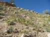 imgp0108_small.jpg