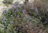 imgp0109_small.jpg