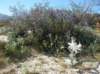 imgp0112_small.jpg