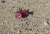 imgp0114_small.jpg