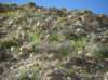 imgp0115_small.jpg