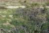 imgp0116_small.jpg