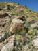 imgp0118_small.jpg