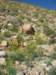 imgp0120_small.jpg