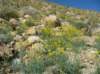 imgp0121_small.jpg