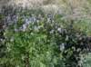 imgp0123_small.jpg