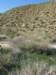 imgp0124_small.jpg