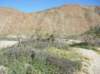 imgp0127_small.jpg