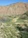 imgp0128_small.jpg