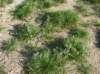imgp0131_small.jpg