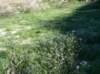 imgp0133_small.jpg