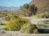 imgp0135_small.jpg