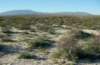 imgp0136_small.jpg