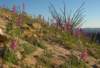 imgp0210_small.jpg