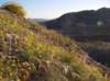 imgp0214_small.jpg