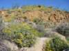 imgp0221_small.jpg