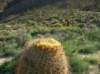 imgp0226_small.jpg