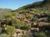 imgp0228_small.jpg