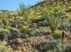 imgp0230_small.jpg