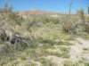 imgp0236_small.jpg