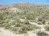 imgp0239_small.jpg