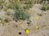 imgp0240_small.jpg