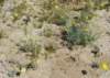 imgp0241_small.jpg