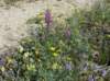 imgp0242_small.jpg