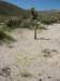 imgp0244_small.jpg